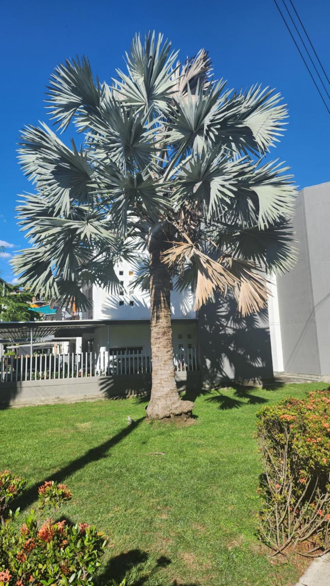 Apartasol Club Ciudadela Santa Fe - Santa Fe De Antioquia Exterior foto